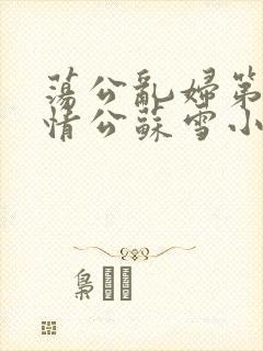 荡公乱妇第1章情公苏雪小说