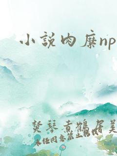 小说肉糜np