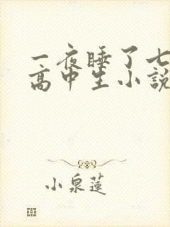 一夜睡了七个女高中生小说h