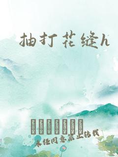 抽打花缝h