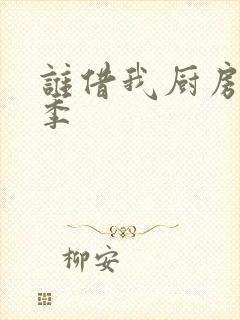 谁借我厨房第三季