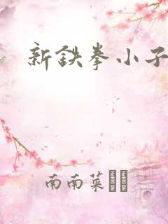 新铁拳小子