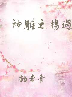 神雕之杨过新传