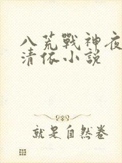 八荒战神夜麟云清依小说