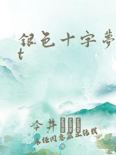 银色十字梦txt