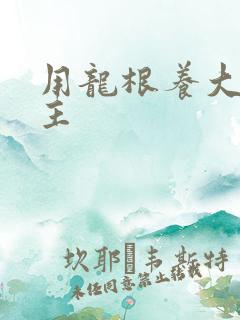 用龙根养大的公主