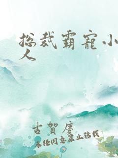 总裁霸宠小小女人