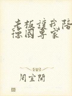 老板让我陪两个德国专家