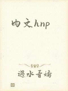 肉文hnp