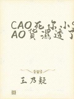 CAO死你小SAO货湿透了学长