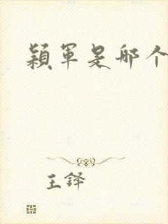 颖军是哪个军阀