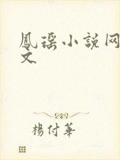 凤瑶小说网高辣文