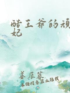 酷王爷的顽皮王妃