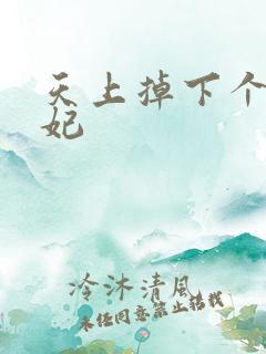 天上掉下个奇王妃