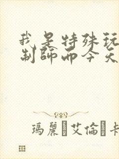 我是特殊玩具定制师而今天的客户