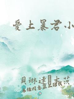 爱上暴君小甜心