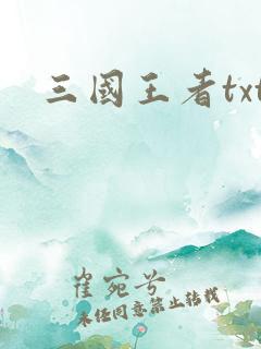三国王者txt