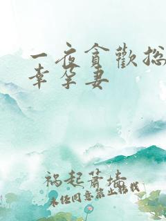 一夜贪欢总裁的幸孕妻