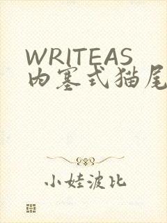 WRITEAS内塞式猫尾
