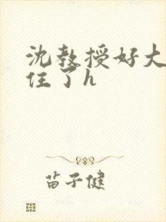 沈教授好大含不住了h