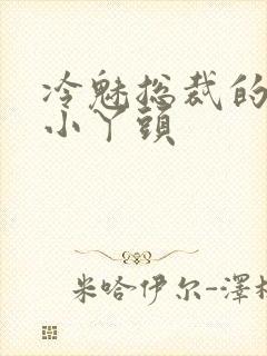 冷魅总裁的纯纯小丫头