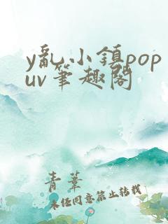 y乱小镇popuv笔趣阁