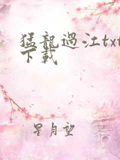 猛龙过江txt下载