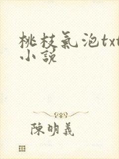 桃枝气泡txt小说