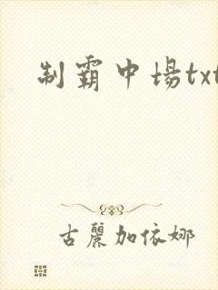 制霸中场txt
