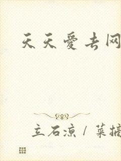 天天爱去网