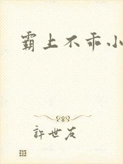 霸上不乖小逃妻