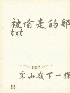 被偷走的那五年txt