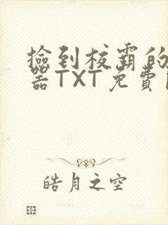 捡到校霸的遥控器TXT免费阅读