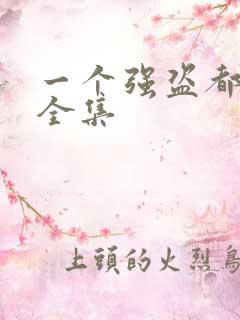 一个强盗都不留全集