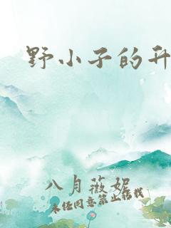 野小子的升官路