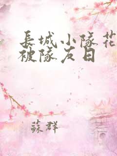 长城小队花木兰被队友日