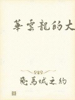 华云龙的大宝贝