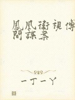 凤凰卫视傅晓田间谍案