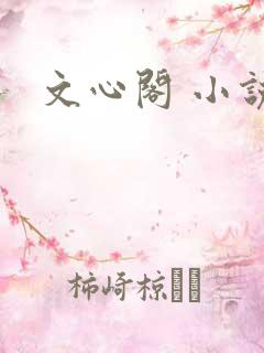 文心阁 小说