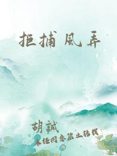 拒捕 风弄