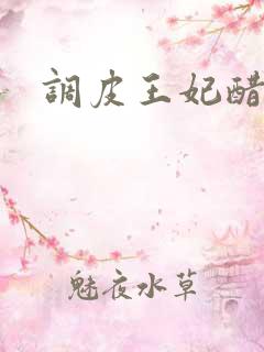 调皮王妃醋王爷