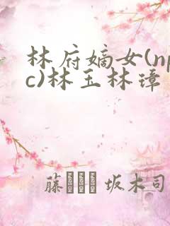 林府嫡女(npc)林玉林璋