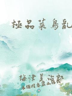 极品菜鸟乱江湖