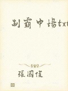 制霸中场txt