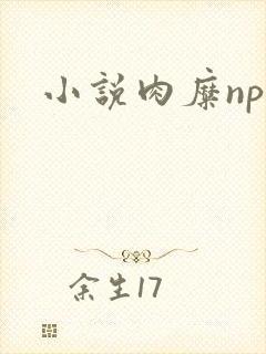 小说肉糜np