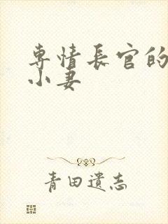 专情长官的天价小妻