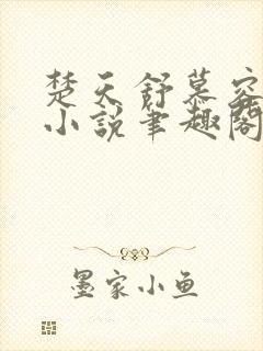 楚天舒慕容江月小说笔趣阁