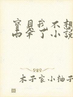 宝贝我不想带小雨伞了小说