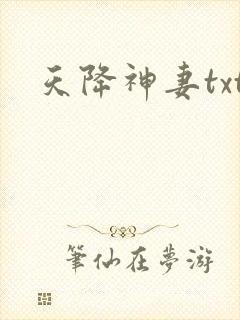 天降神妻txt