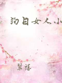 狗日女人小说
